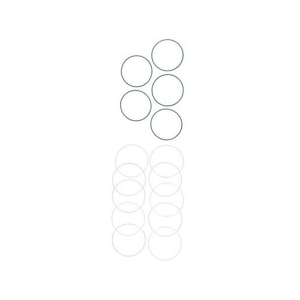 Pump Repair Kits- Service Kit, for LaCM with PTFE gaskets, CM Series.